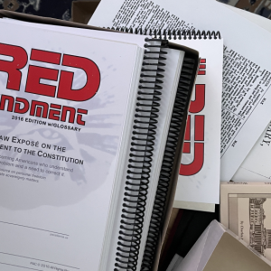 Detailed Review of The Red Amendment - 12 classes